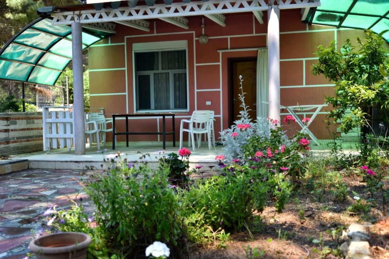 Villas Apartments Shahaj Vlorë エクステリア 写真
